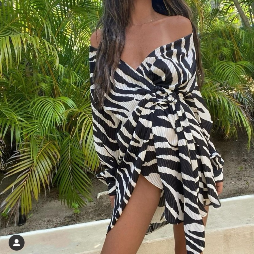 Zebra dress